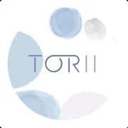 Torii India